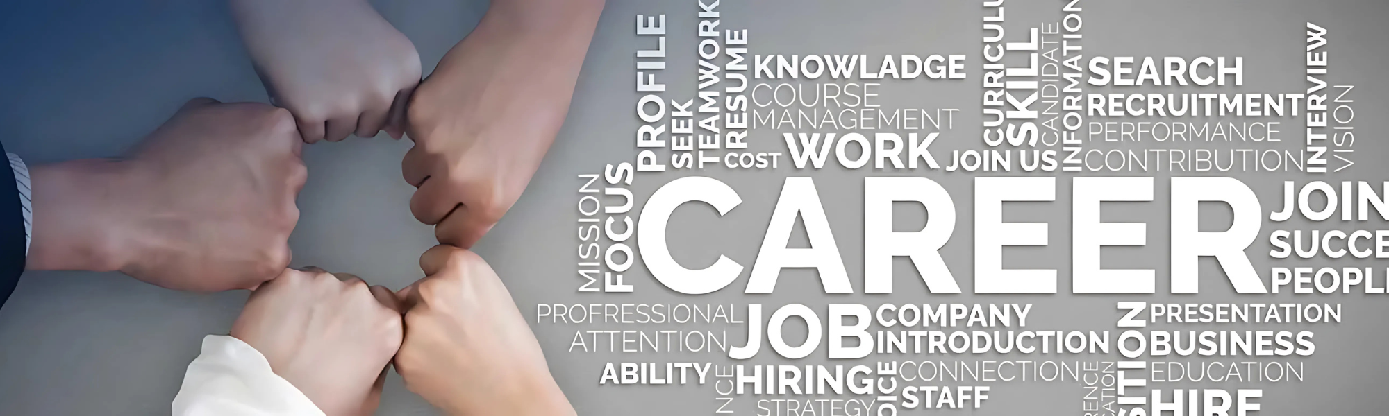 Career