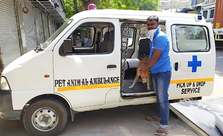 Pets-Ambulance-Service